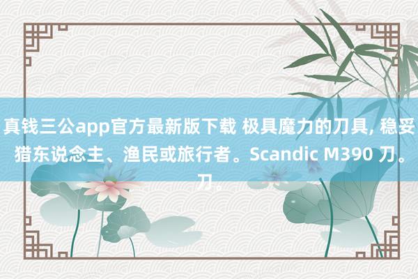 真钱三公app官方最新版下载 极具魔力的刀具, 稳妥猎东说念主、渔民或旅行者。Scandic M390 刀。