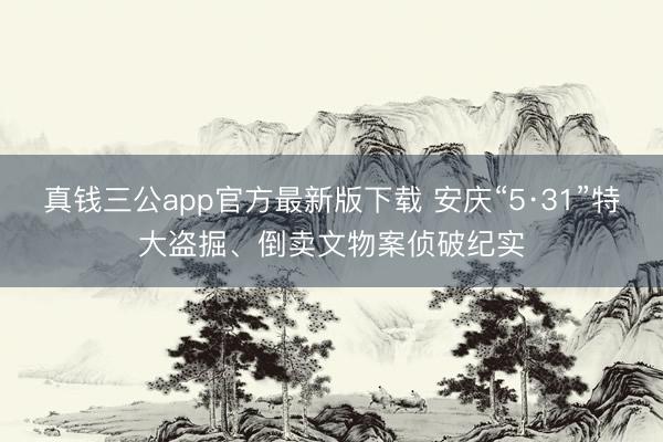 真钱三公app官方最新版下载 安庆“5·31”特大盗掘、倒卖文物案侦破纪实