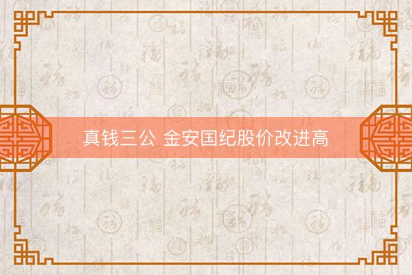真钱三公 金安国纪股价改进高
