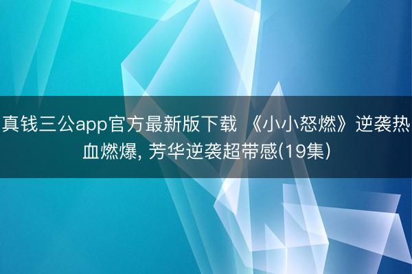 真钱三公app官方最新版下载 《小小怒燃》逆袭热血燃爆, 芳华逆袭超带感(19集)
